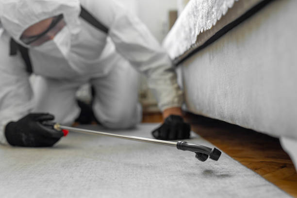 Professional Termite Control technician working in Parker, CO