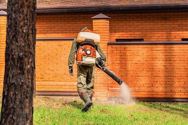 Top rated local Termite Control specialists in Parker, CO